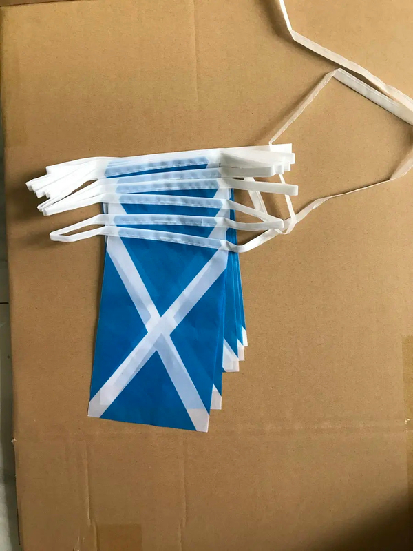 Scotland 14x21cm Bunting Flag